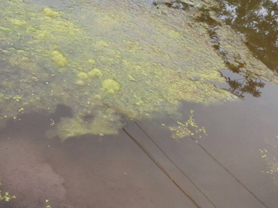 深圳水質(zhì)檢測 深圳水質(zhì)檢測