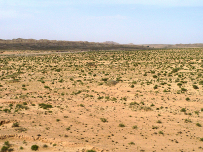 深圳水質(zhì)檢測(cè)機(jī)構(gòu) 深圳水質(zhì)檢測(cè)機(jī)構(gòu)